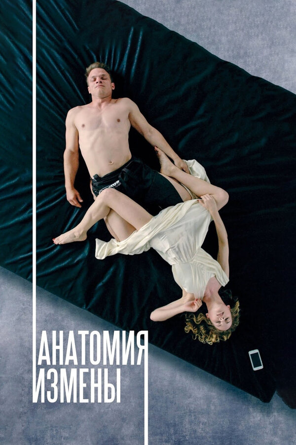 Постер фильма Анатомия измены