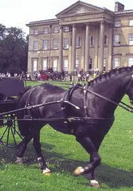 Gordon Bilboe