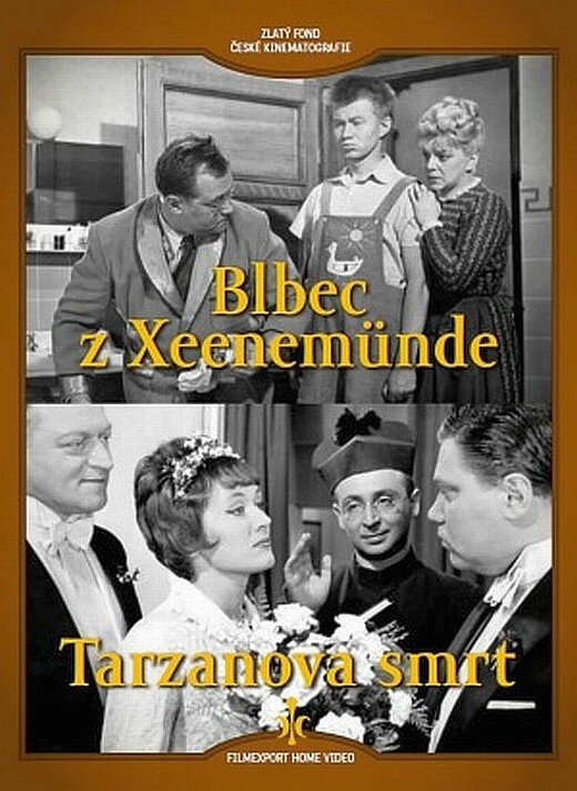 Постер фильма Идиот из Ксеенемюнде