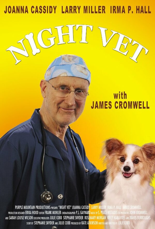 Постер фильма Night Vet