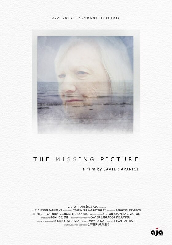 Постер фильма The Missing Picture