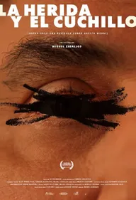 La herida y el cuchillo (Notas para un film sobre Emilio García Wehbi)