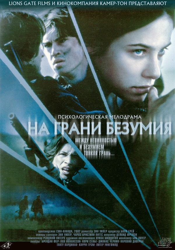 Постер фильма На грани безумия