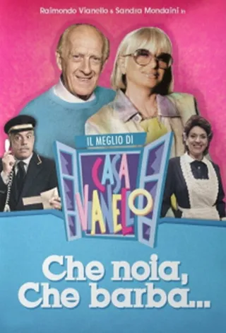 Постер Casa Vianello (1988)