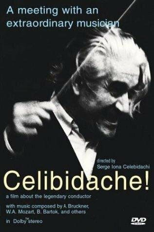 Постер фильма Celibidache