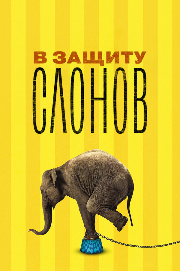 Постер фильма В защиту слонов