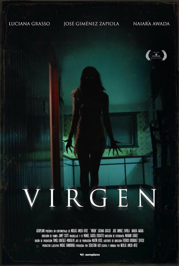 Постер фильма Virgen