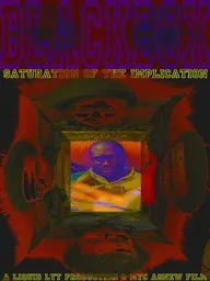 BlackBox: Saturation of the Implication