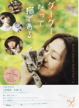 Постер Кот по имени Гу-Гу (2008)