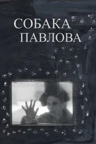 Собака Павлова