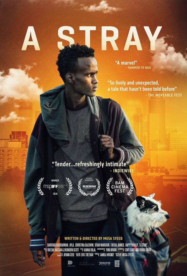 Постер фильма A Stray
