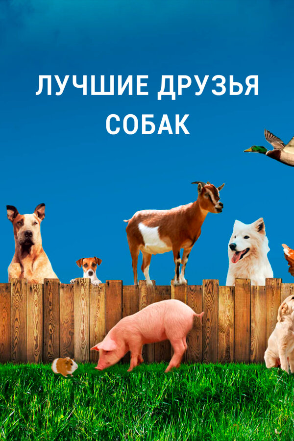Постер сериала Лучшие друзья собак