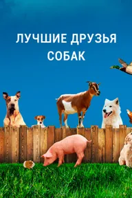 Лучшие друзья собак