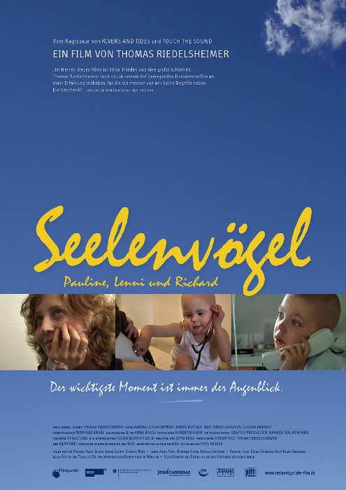 Постер фильма Seelenvögel