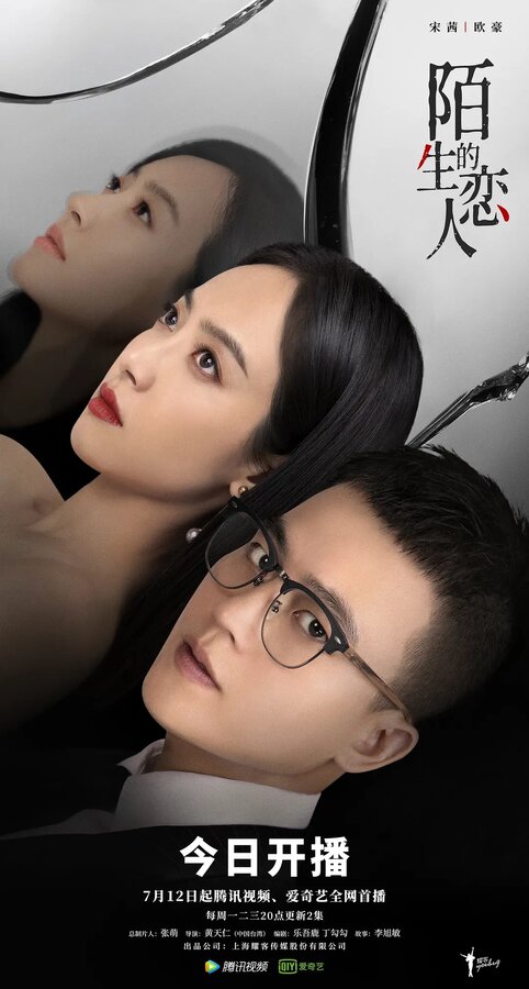 Постер сериала Незнакомый возлюбленный