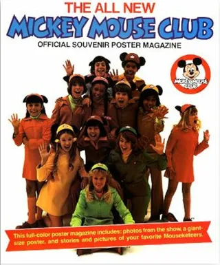 Постер The New Mickey Mouse Club (1977)