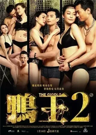 Постер Жиголо 2 (2016)