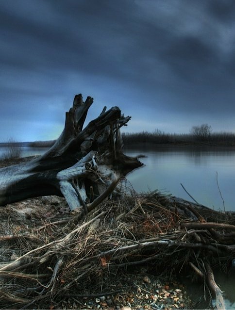 Постер фильма Down by the Water