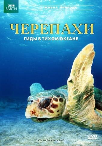 Постер фильма Черепахи: Гиды в Тихом океане