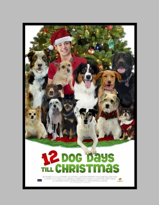 Постер фильма 12 Dog Days of Christmas