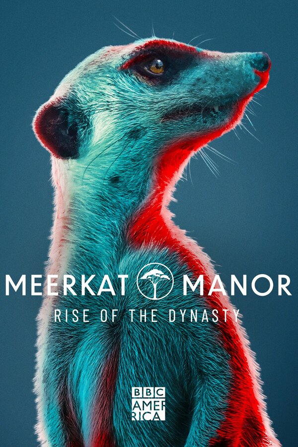 Постер сериала Meerkat Manor: Rise of the Dynasty