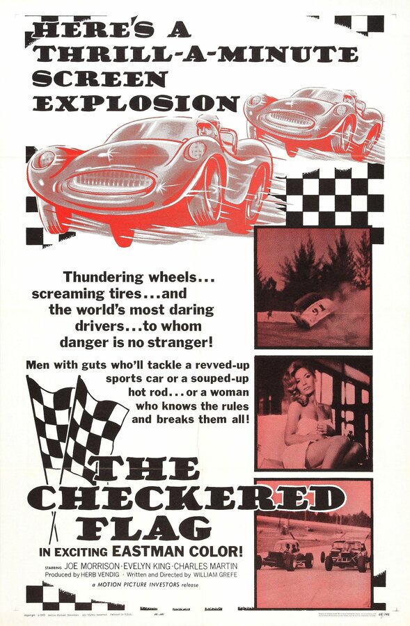 Постер фильма The Checkered Flag