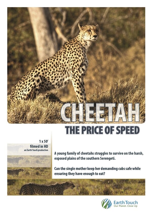 Постер фильма Cheetah: The Price of Speed