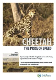 Cheetah: The Price of Speed