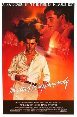 Постер Год, опасный для жизни (1982)