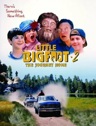 Постер Маленький лесной человечек 2: Возвращение домой (1998)