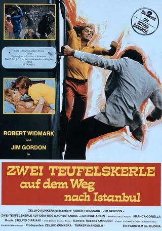 Постер Мошенники (1976)