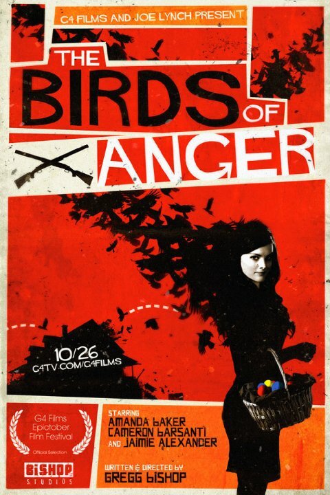 Постер фильма The Birds of Anger