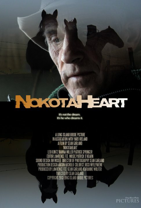 Постер фильма NokotaHeart