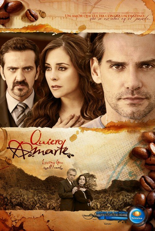 Постер сериала Хочу любить тебя
