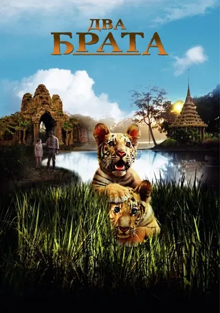 Постер Два брата (2004)
