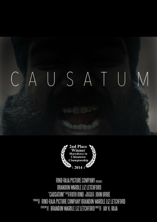 Постер фильма Causatum