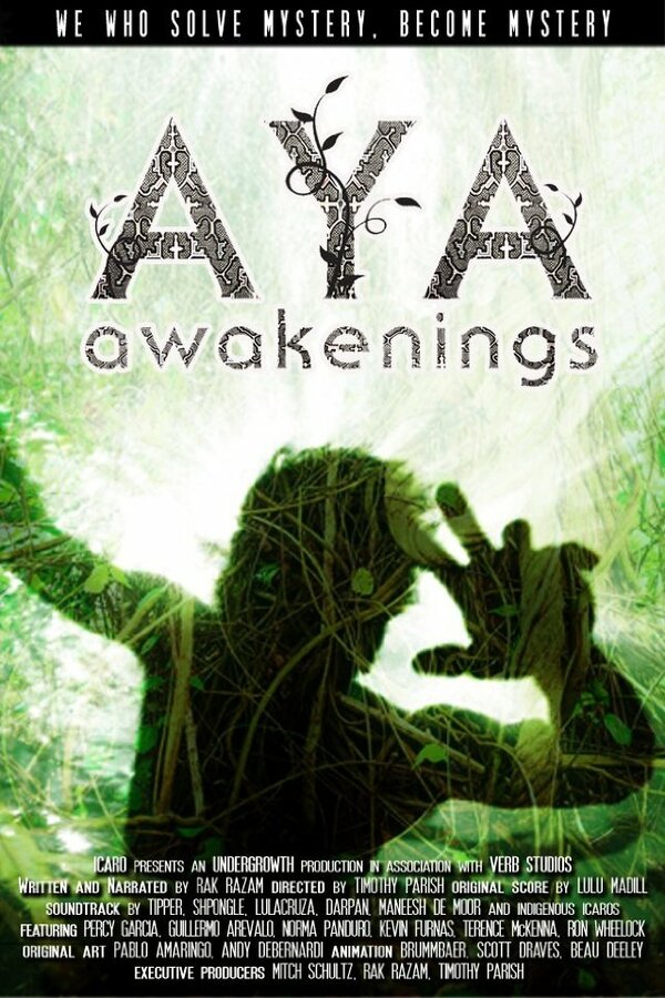 Постер фильма Aya: Awakenings