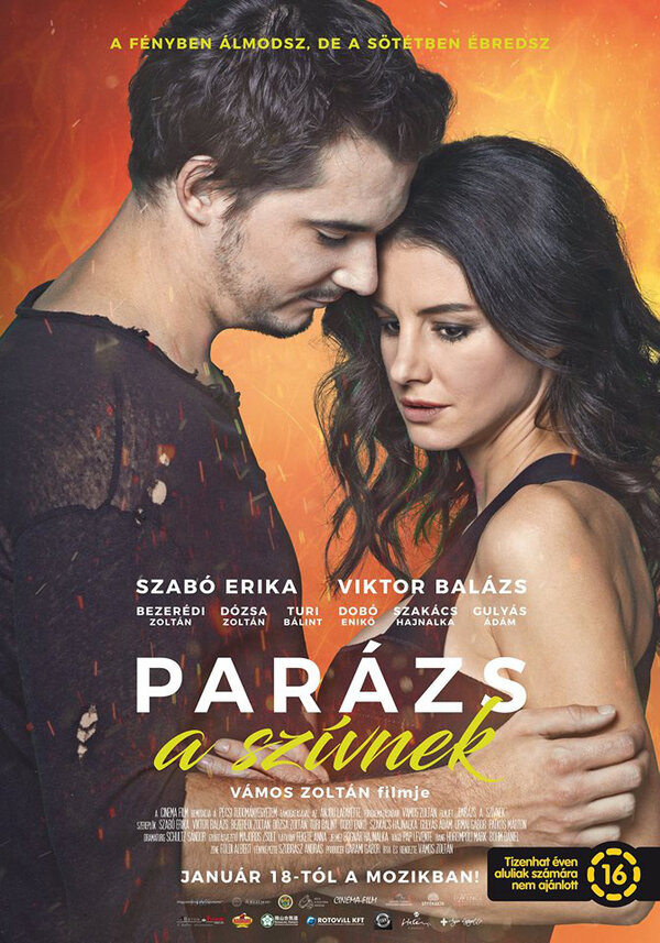 Постер фильма Parázs a szívnek