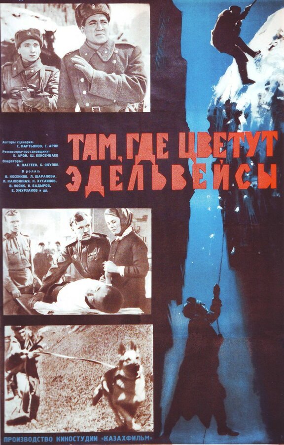 Постер фильма Там, где цветут эдельвейсы