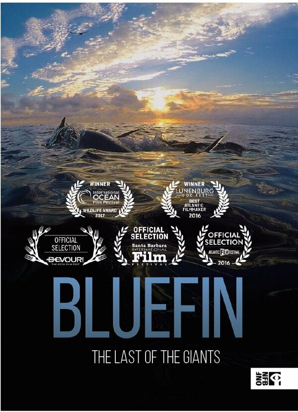 Постер фильма Bluefin