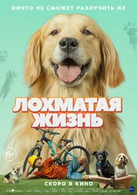Лохматая жизнь