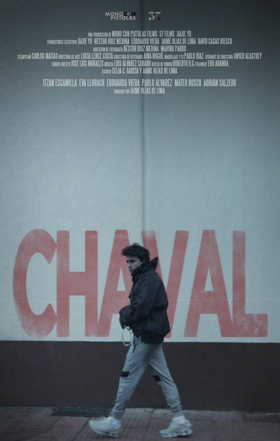 Постер фильма Chaval