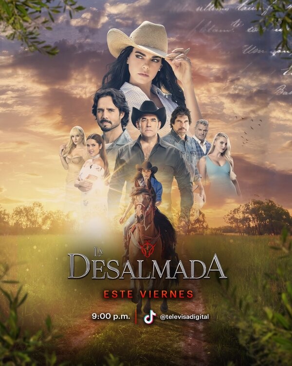 Постер сериала Бессердечная