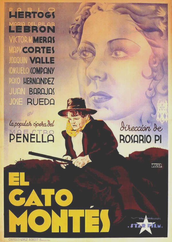 Постер фильма El gato montés