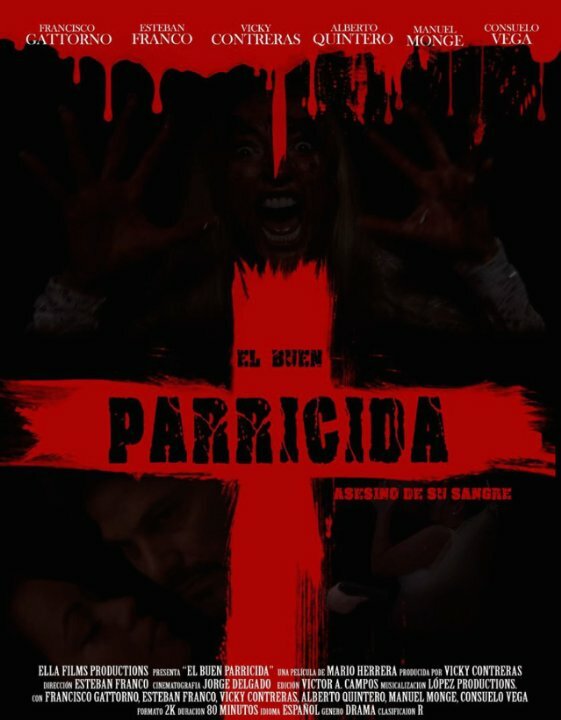 Постер фильма El buen parricida