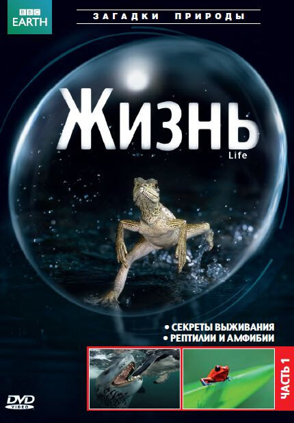 Постер сериала BBC: Жизнь