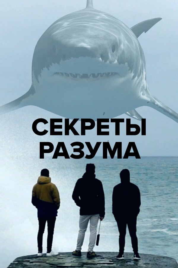 Постер сериала Секреты разума