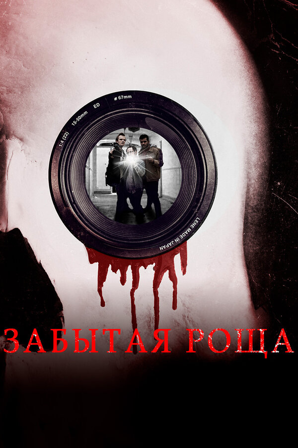 Постер фильма Забытая роща