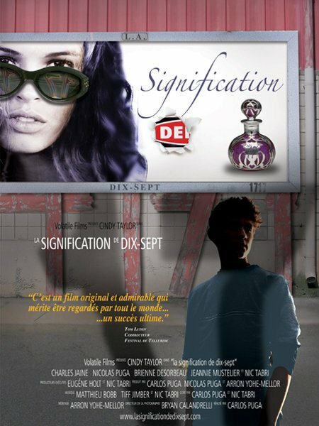 Постер фильма The S1gnificance of Se7enteen