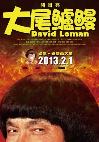 Постер Давид Ломан (2013)